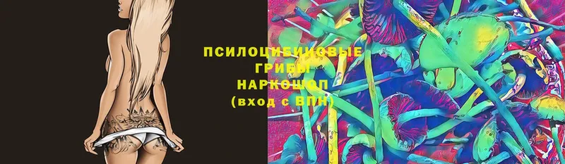 Продажа наркотиков Гаджиево Альфа ПВП  Меф мяу мяу  ГАШ  Амфетамин  Бутират  Кокаин 